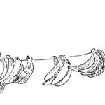 line drawing in black ink on white paper